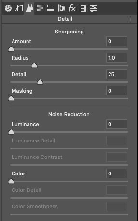 Photoshop Details Tab within ACR