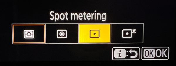 What Is Spot Metering Everything You Need To Know
