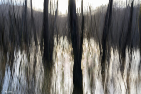 Abstract Nature Fine Art Photography Print titled Light Walkers
